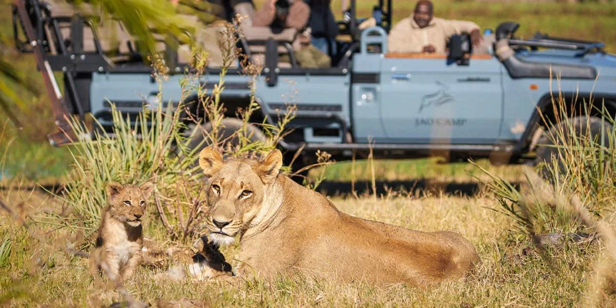 Best Time to Visit Botswana