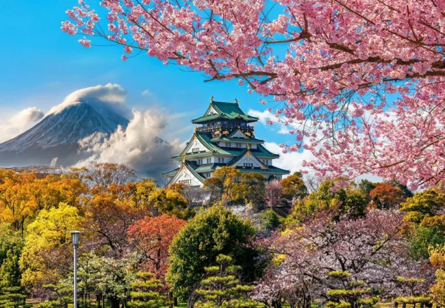 Japan Cherry Blossom Tour