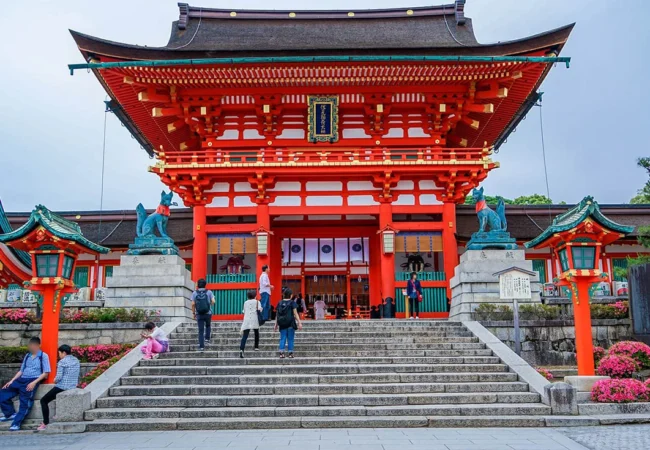 Japan Cherry Blossom