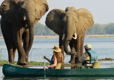 best time to visit Zambia