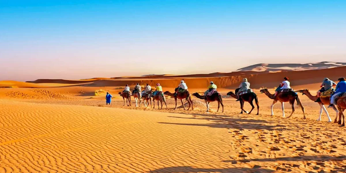 Best Time to Do Activities in Morocco