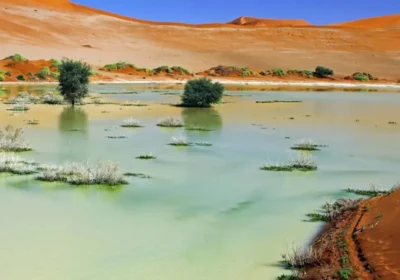 Namibia’s Attractions During the Rainy Season