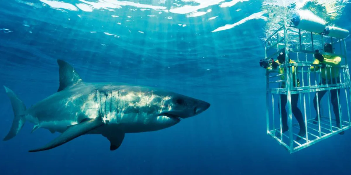 Adventure Experiences in Mauritius