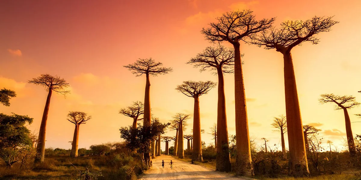 Mistakes Tourists Make When Visiting Madagascar