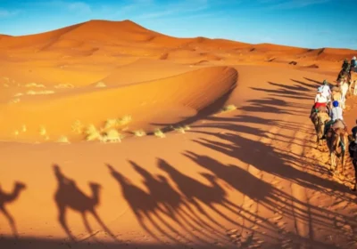 Best Season to Visit Morocco