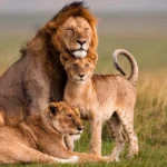 Season to Visit Rwanda