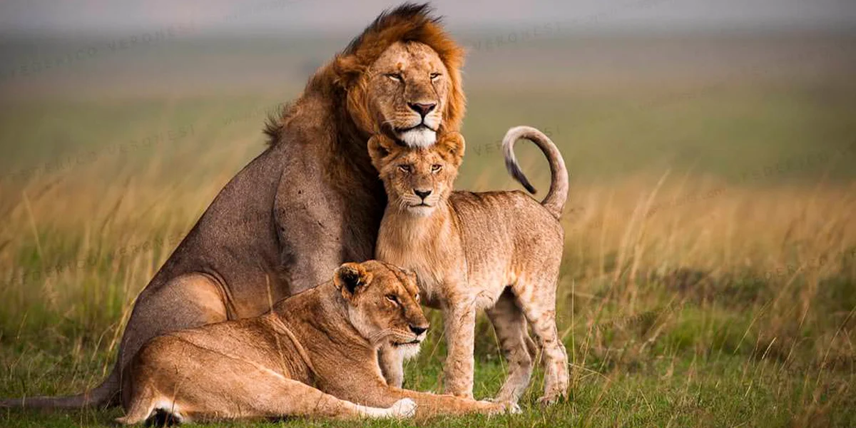 Season to Visit Rwanda