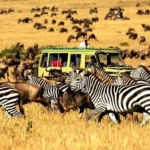 best season to visit Cameroon