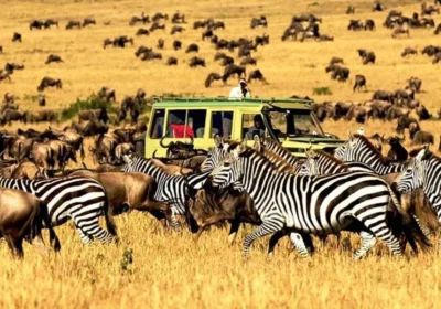 best season to visit Cameroon