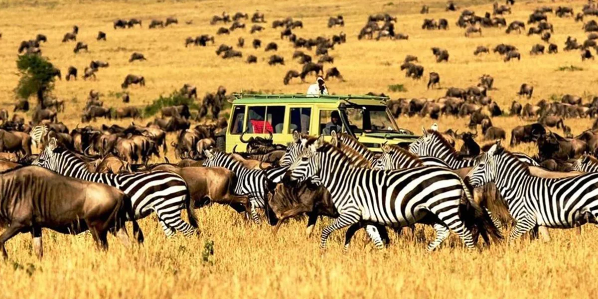 best season to visit Cameroon