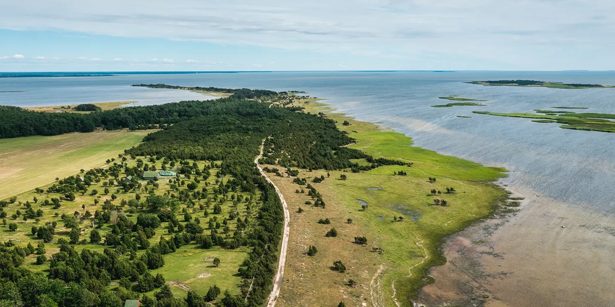 Scenic Road Trips in Germany