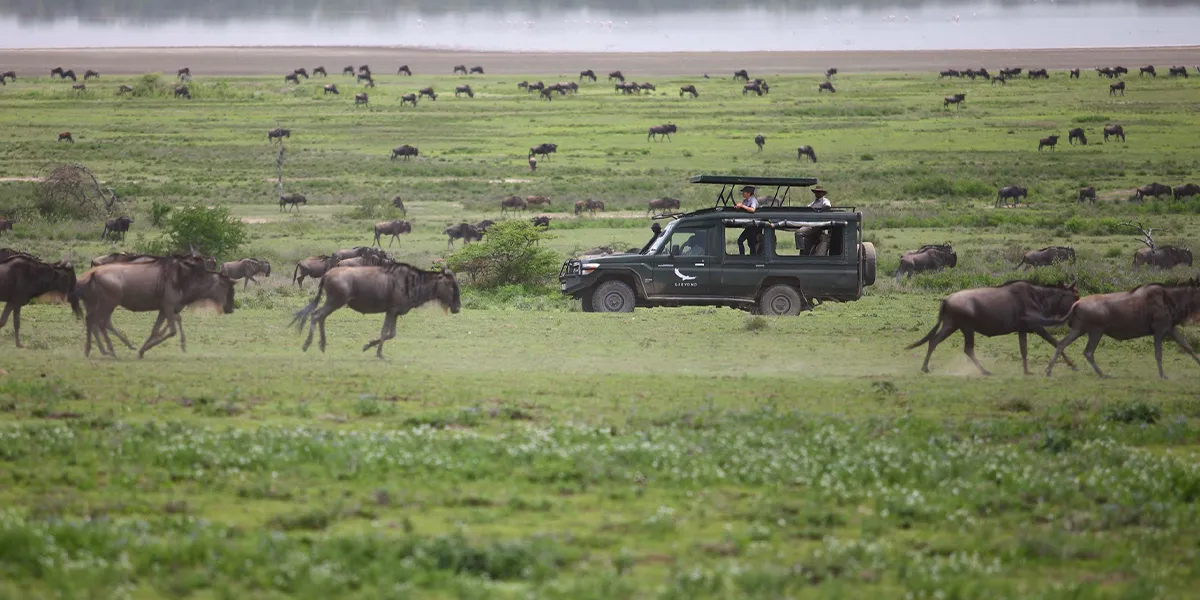 National Park Experiences in Ivory Coast