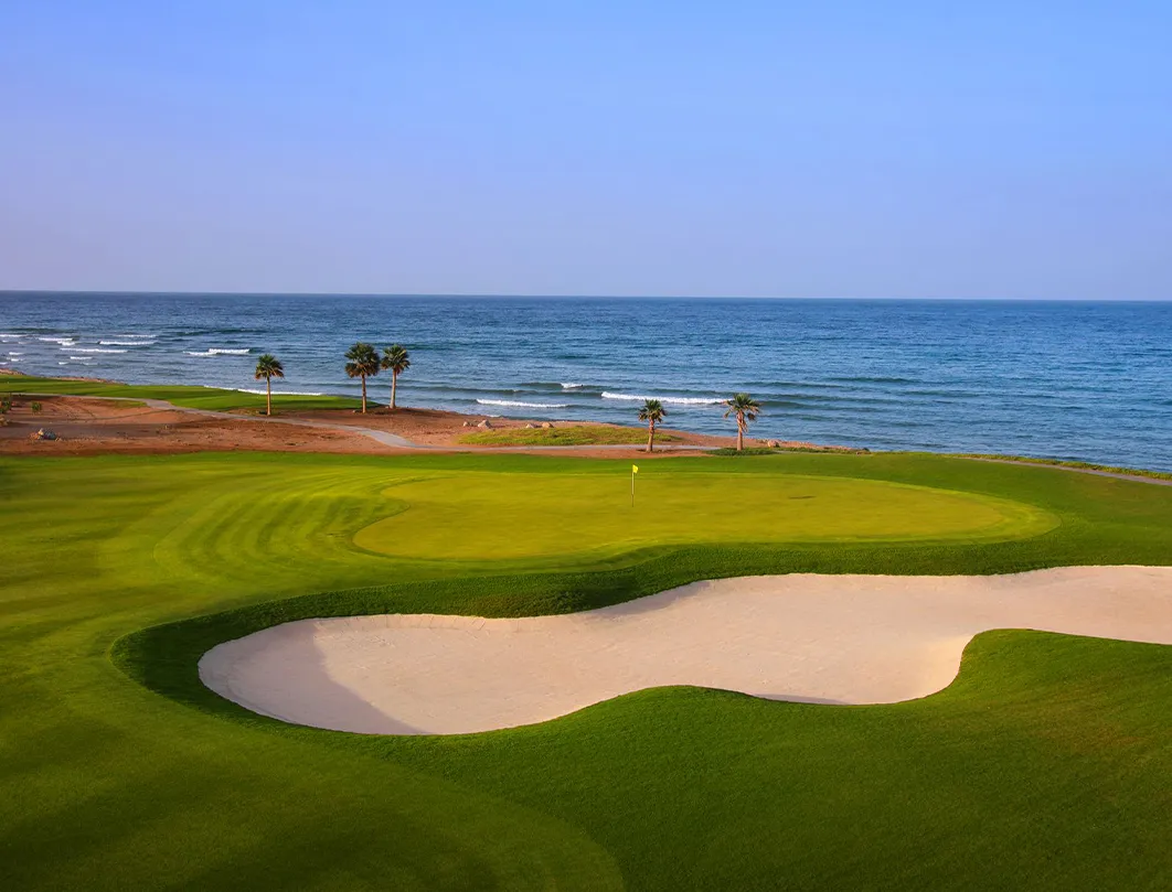 Full and Half Day Muscat City Tour