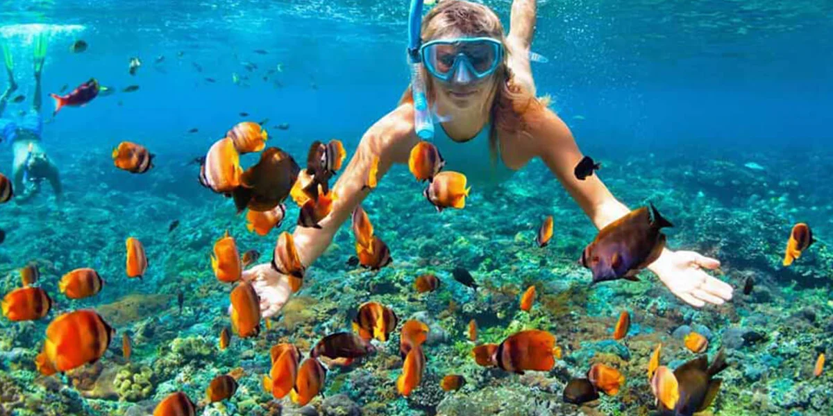 Guided snorkeling tours