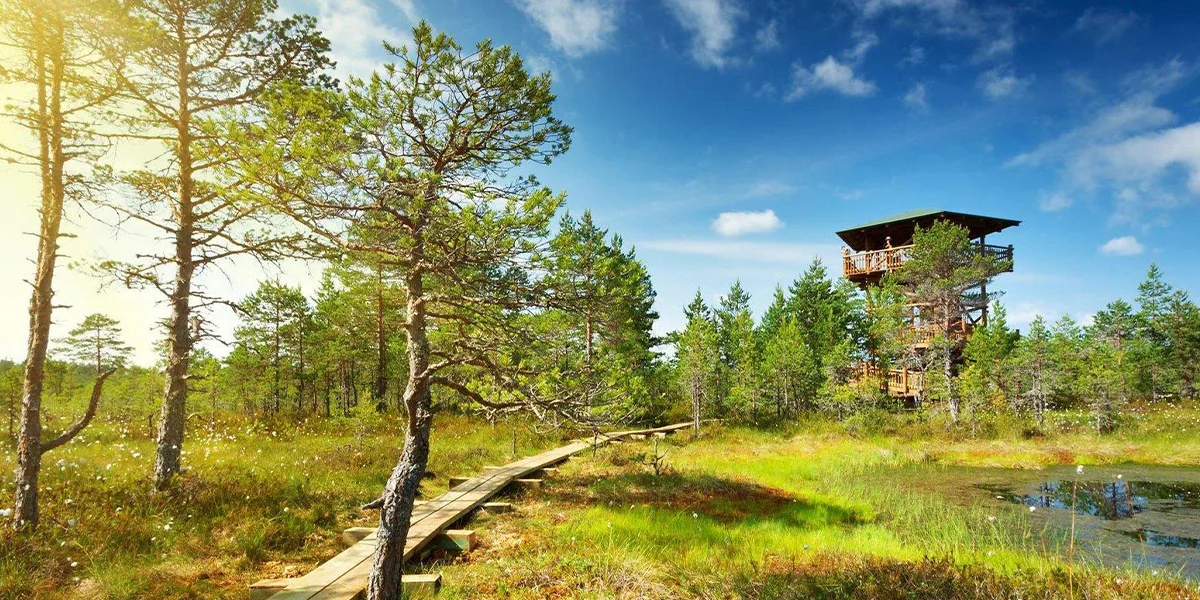 Nature Spots Should Travelers Visit in the Baltics