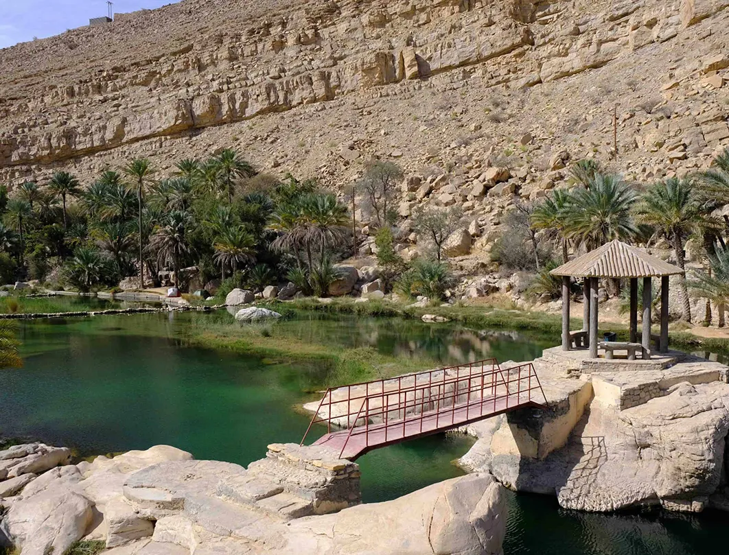 Wadi Bani Khalid and Wahaiba Sands Tour