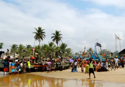 National Park Experiences in Ivory Coast