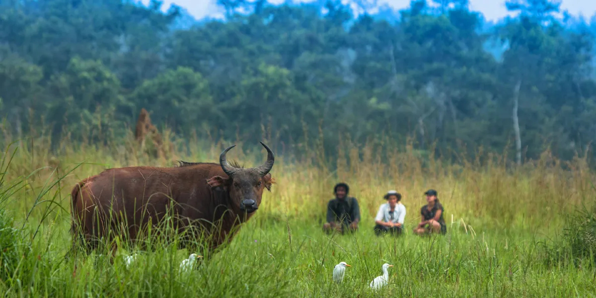 Attractions in the Republic of Congo