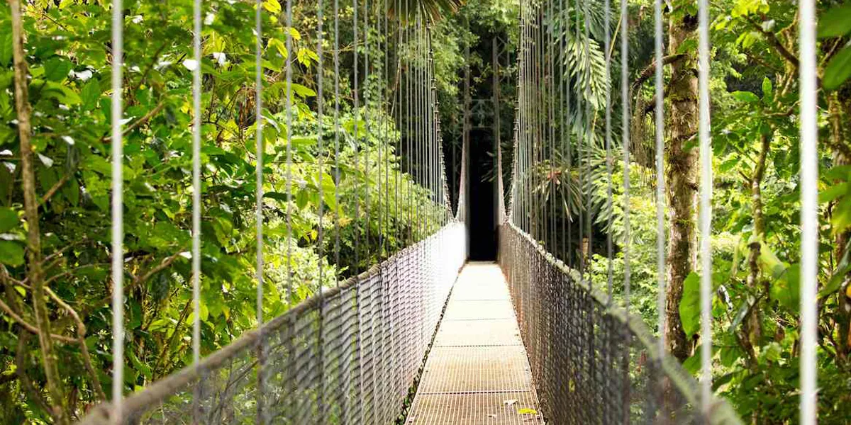 Hiking and Nature Trails