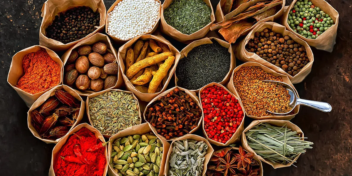 Snorkeling and Scuba Diving