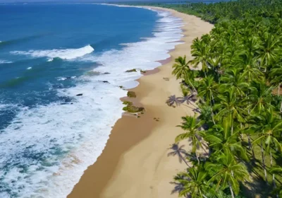 Planning a Holiday to Sri Lanka