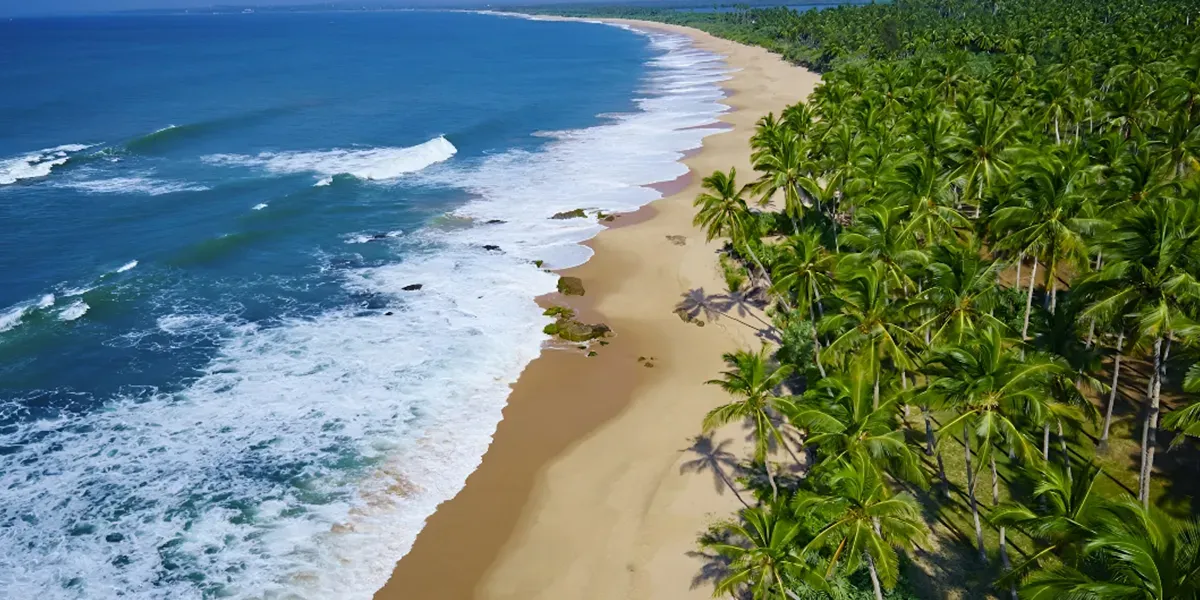 Planning a Holiday to Sri Lanka