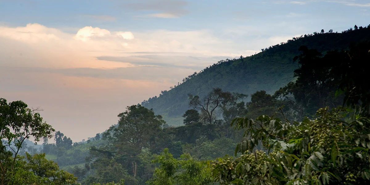 Tourist Attractions in Uganda