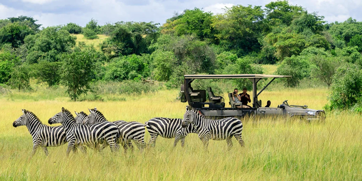 Tourist Attractions in Rwanda