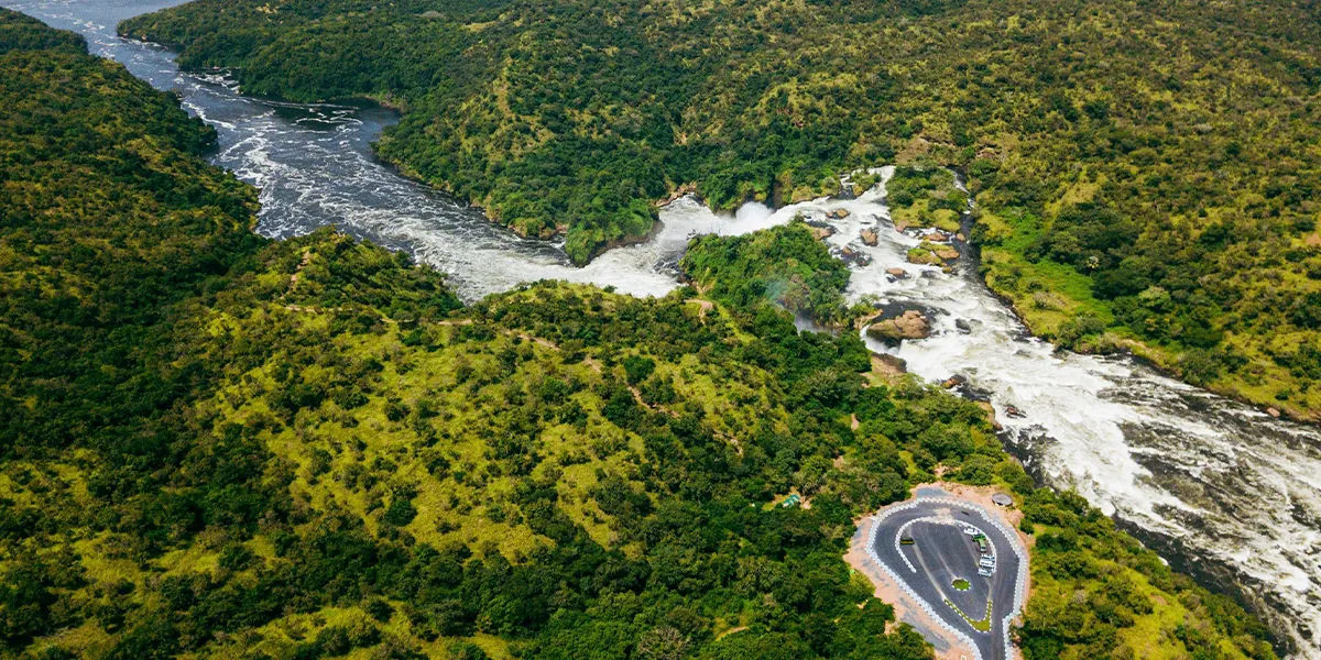 Wildlife Safaris in Uganda