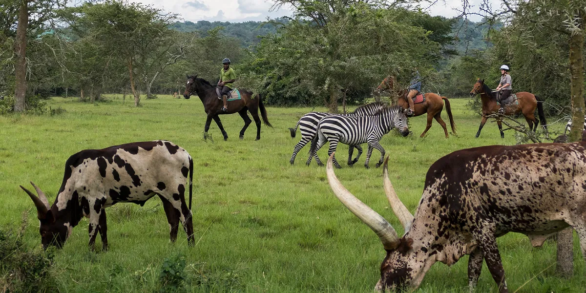 Lake Mburo National Park