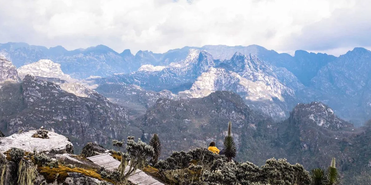 Rwenzori Mountains