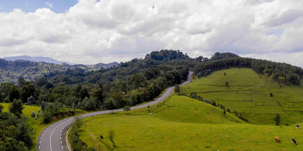 Gishwati-Mukura National Park