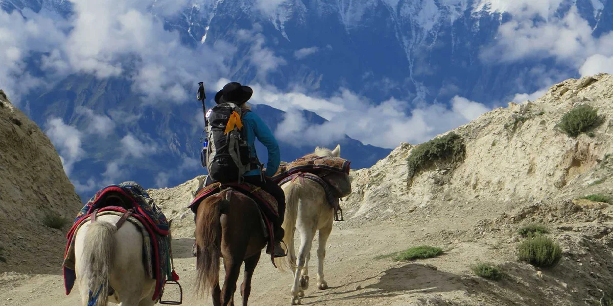 Unique Pony Trekking Experiences