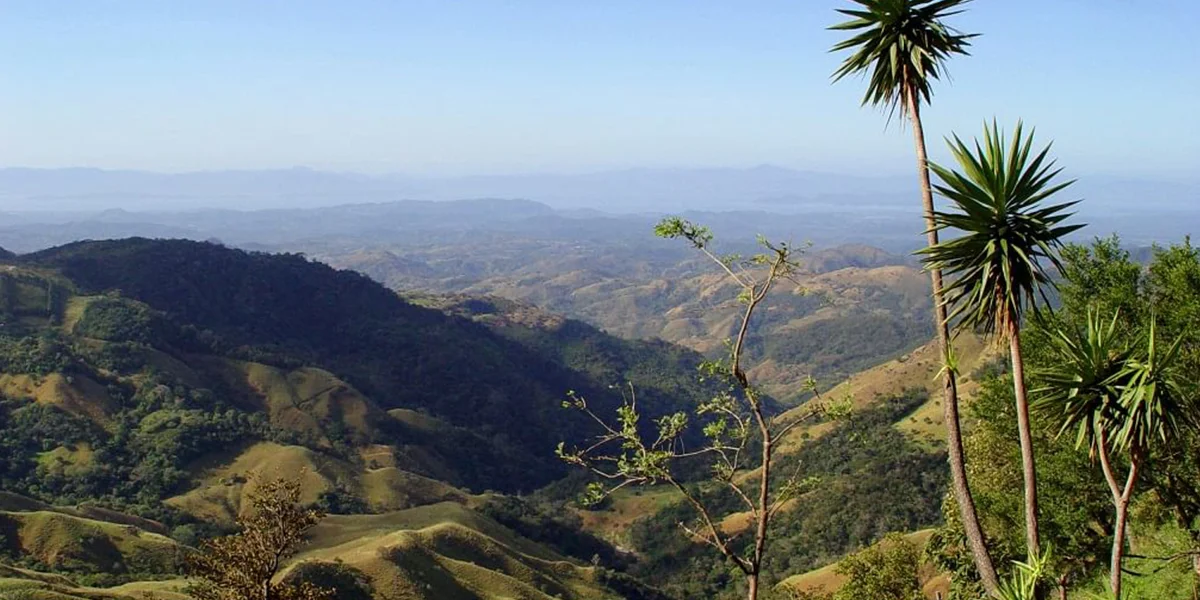 Wildlife Safari Adventures