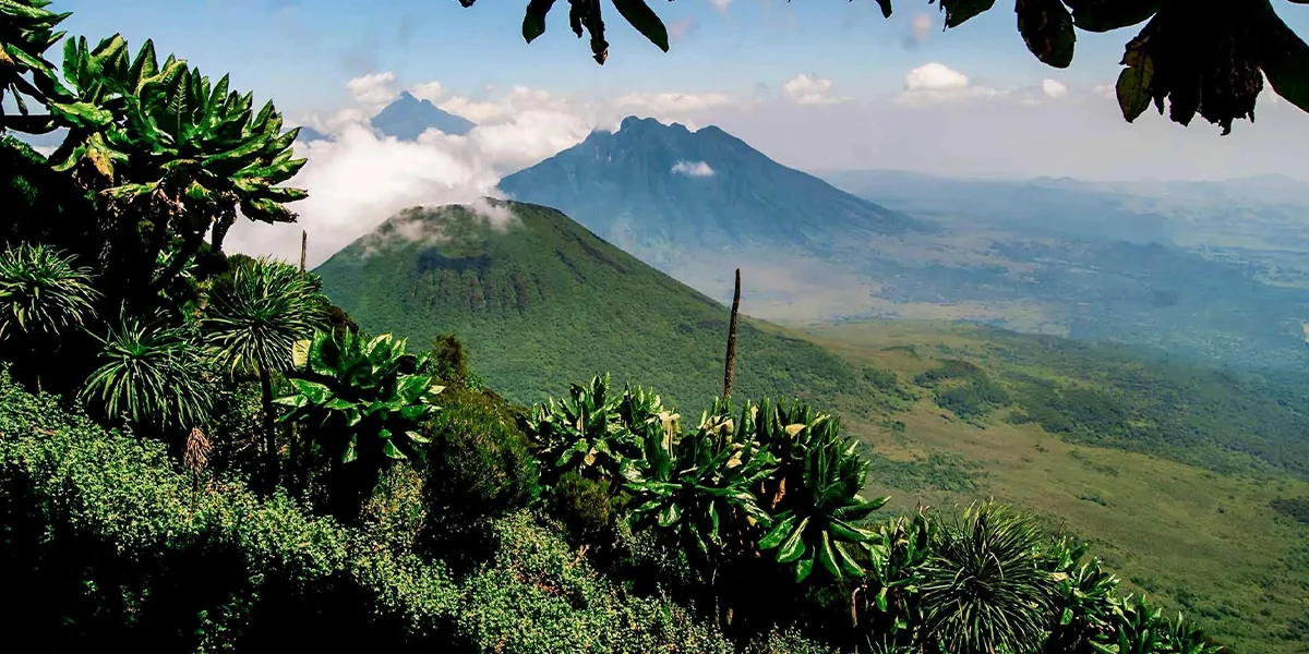 Mgahinga Gorilla National Park
