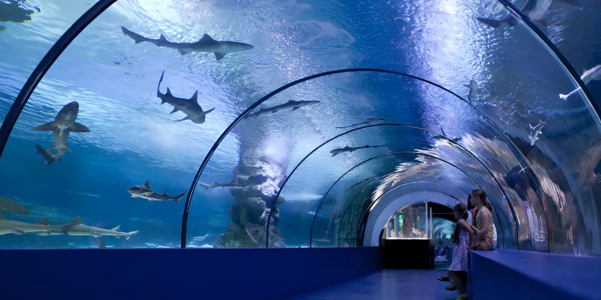 Pattaya Underwater World