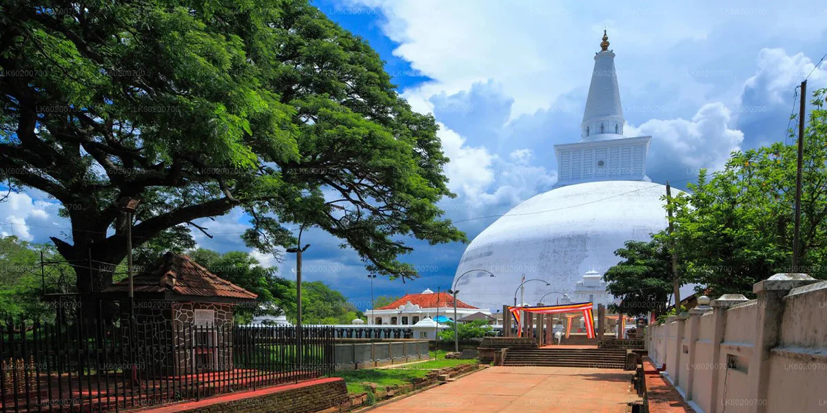 Anuradhapura to Jaffna