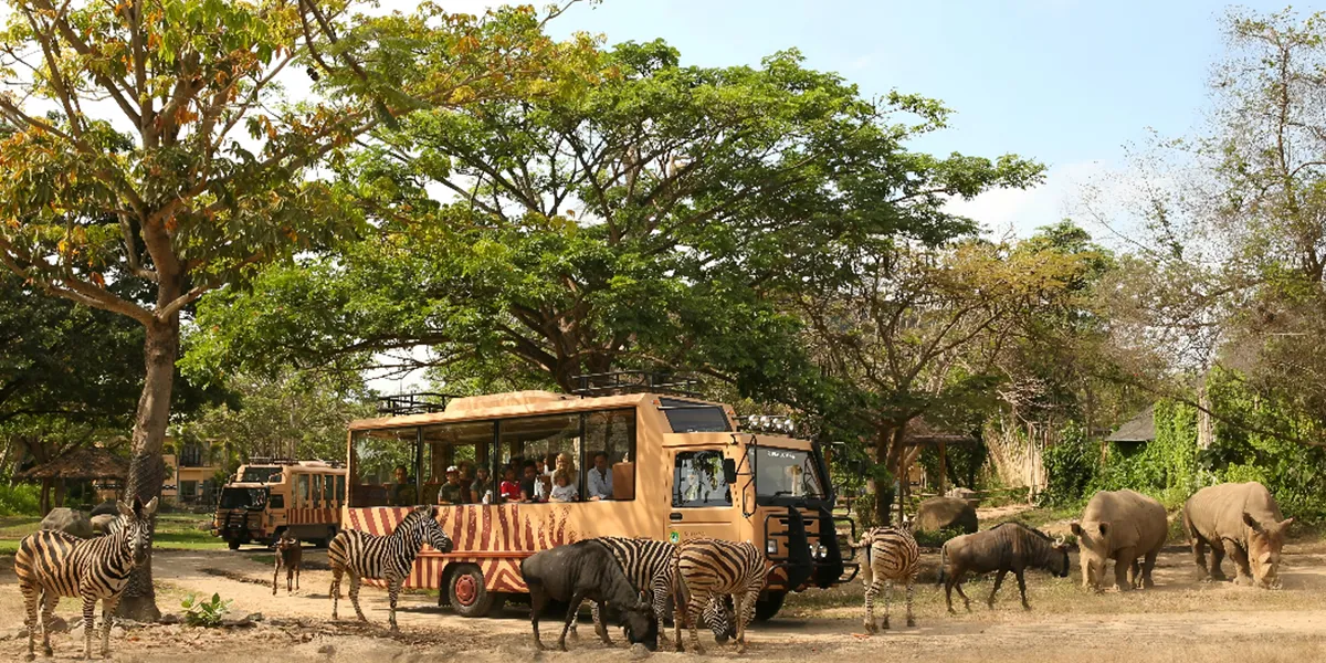 Bali Safari & Marine Park – Wildlife experiences