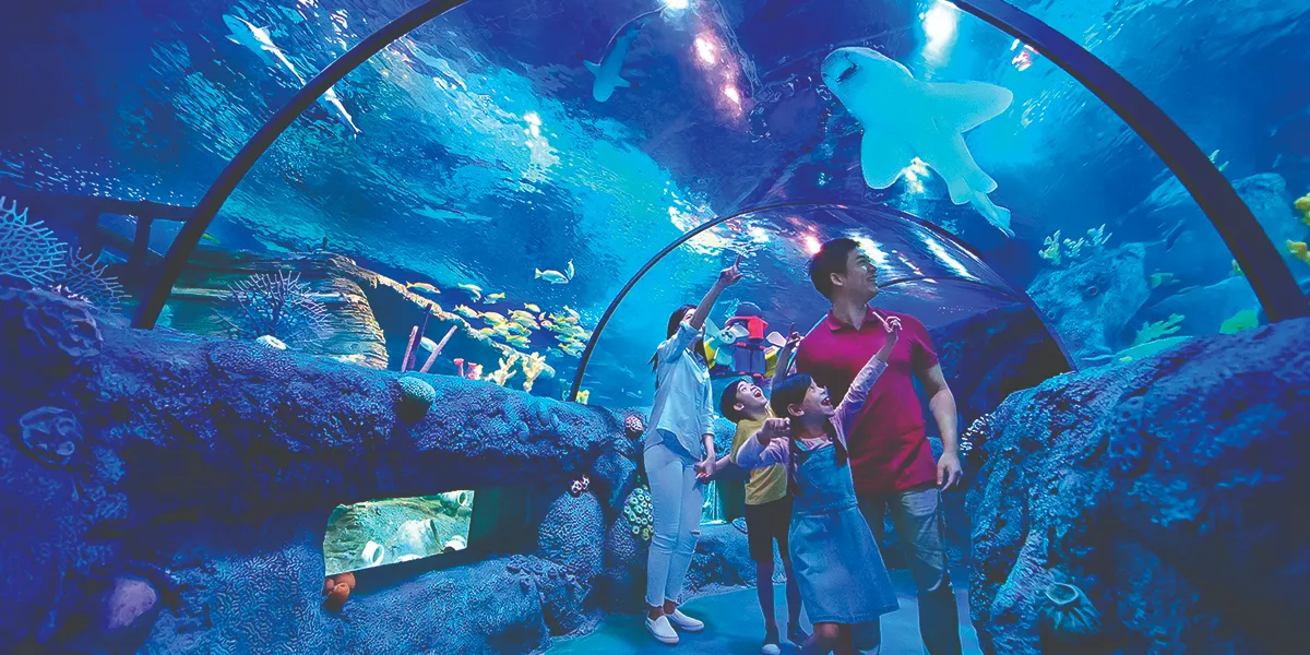 Things to Do in Kuala Lumpur Malaysia