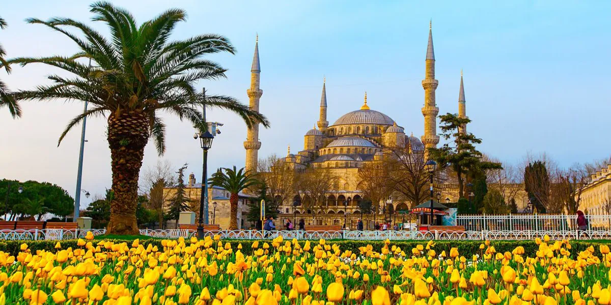 Top Cultural Experiences in Istanbul