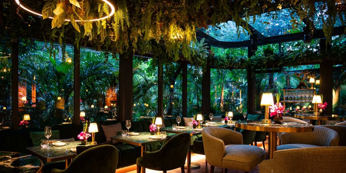 Dining and Food Experiences at Night