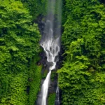 Bali’s waterfalls and natural parks