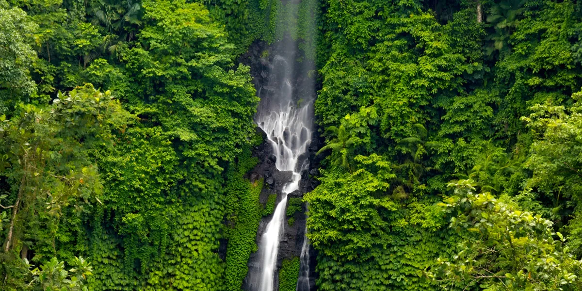 Bali’s waterfalls and natural parks
