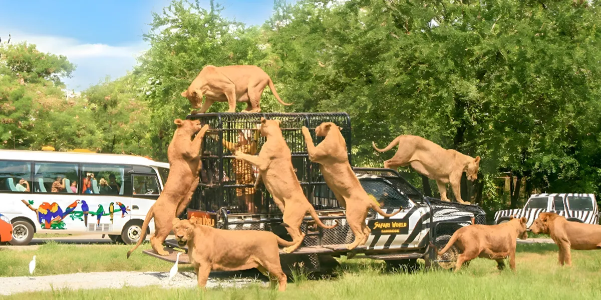 family-friendly activities in Bangkok