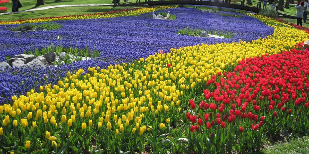 Spring and Autumn Festivals