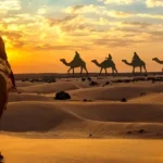 Best Desert Safari Experience in Qatar