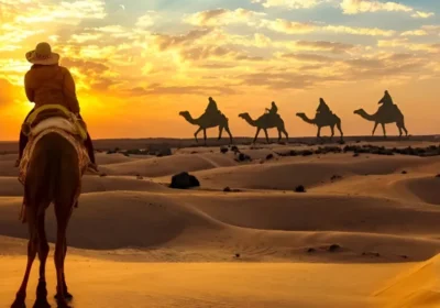 Best Desert Safari Experience in Qatar