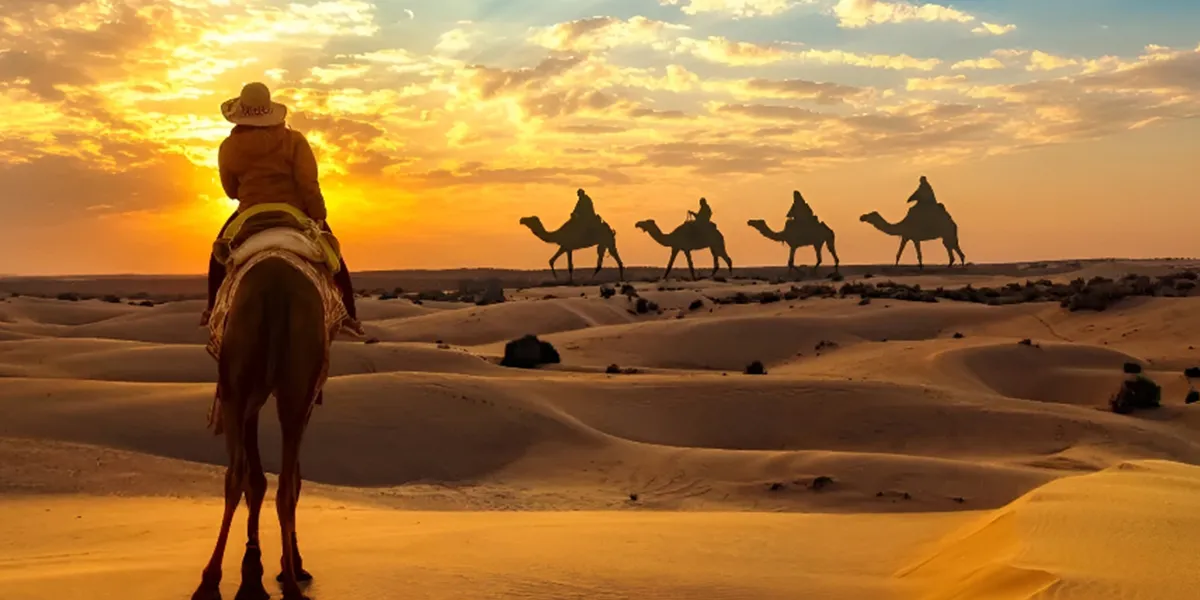 Best Desert Safari Experience in Qatar