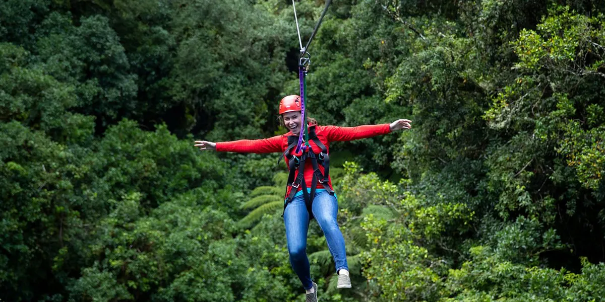 Ziplining and Canopy Tours – Forest adventure experiences
