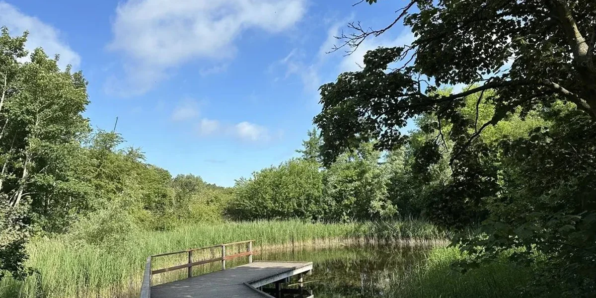 Zwin Nature Park – Coastal Nature Reserve